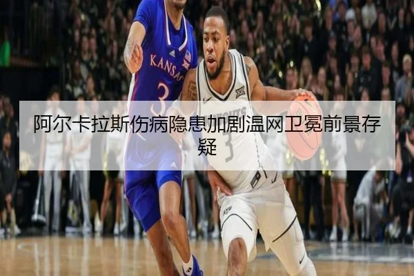 a-er-ka-la-si-shang-bing-yin-huan-jia-ju-wen-wang-wei-mian-qian-jing-cun-yi-2-923.jpg
